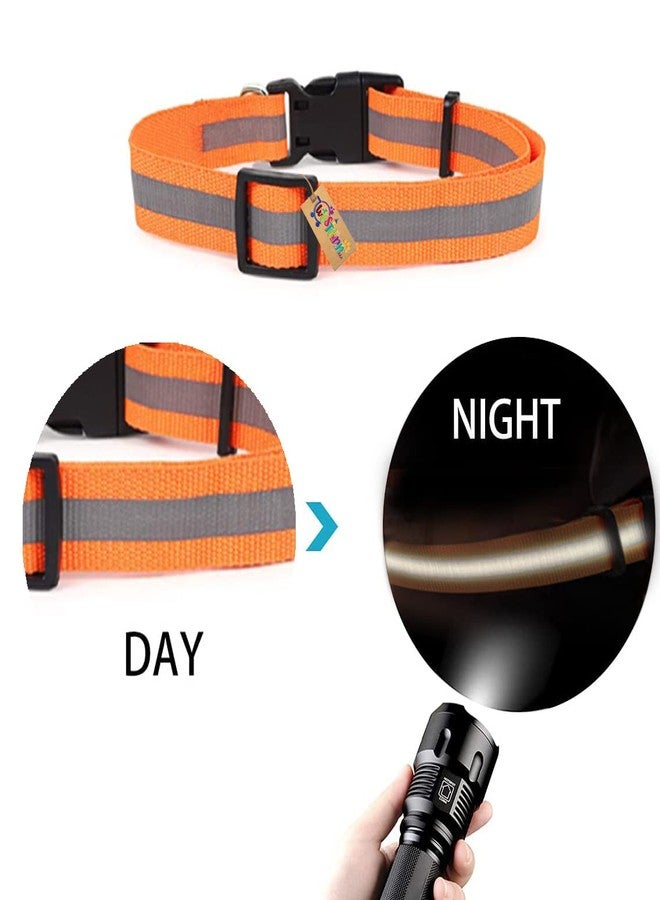 ويستيرن إرا طوق عاكس للكلاب من ويسترن إيرا، مصنوع من قماش النايلون، مرن، فائق النعومة، عالي الكثافة، لطيف على الحيوانات الأليفة ولا يسبب تهيجًا، يتيح اللعب بحرية وراحة. - Image 3